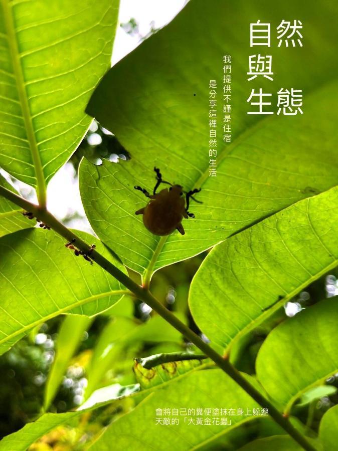 慢水山丘民宿 Slow Water Hill Yuemei Eksteriør billede