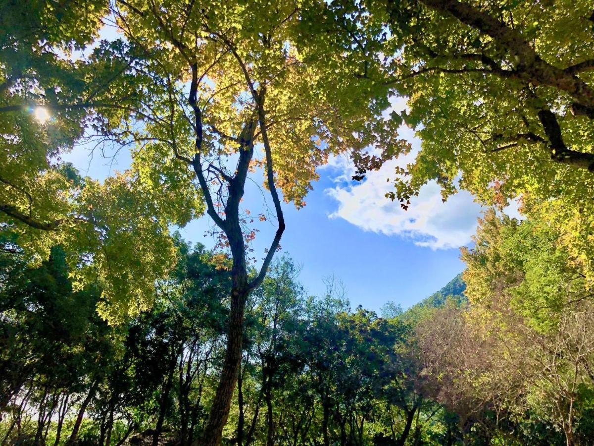 慢水山丘民宿 Slow Water Hill Yuemei Eksteriør billede